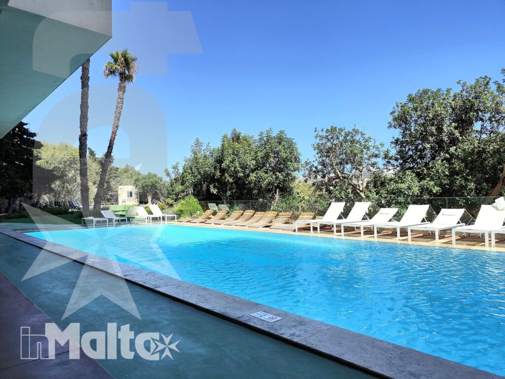 Piscina rettangolare con lettini allineati, palme e giardino mediterraneo, ambiente rilassante per un soggiorno linguistico a Malta.