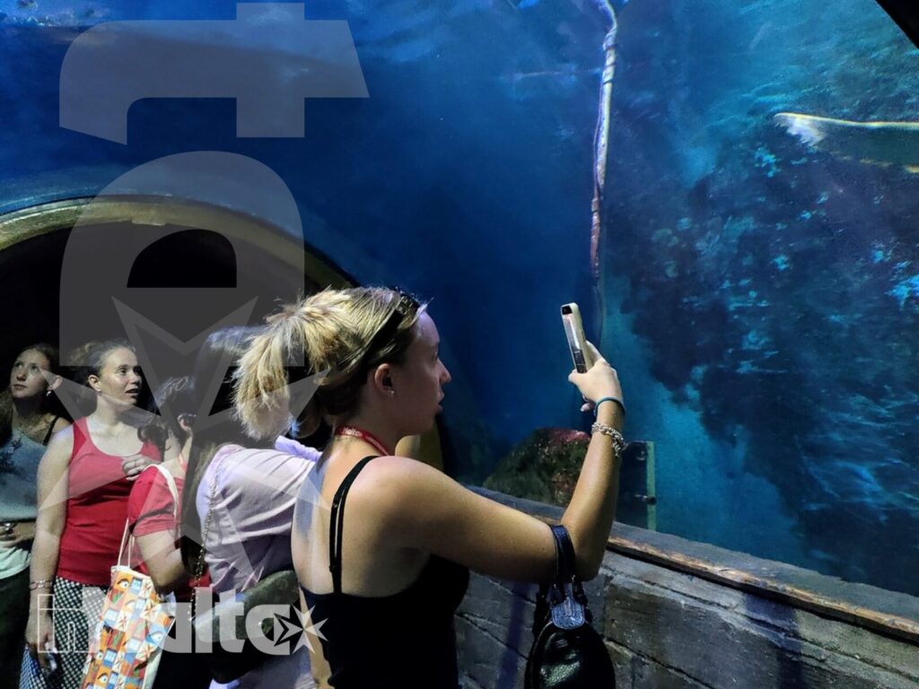 Studentesse fotografano la grande vasca del Malta National Aquarium Studentesse osservano una grande vasca, mentre una di loro fotografa l'acqua blu durante l'esperienza all'acquario.