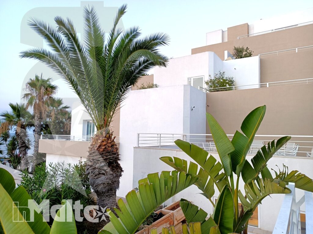 Facciata moderna bianca con terrazze, palma centrale e piante tropicali negli esterni del Salini Resort