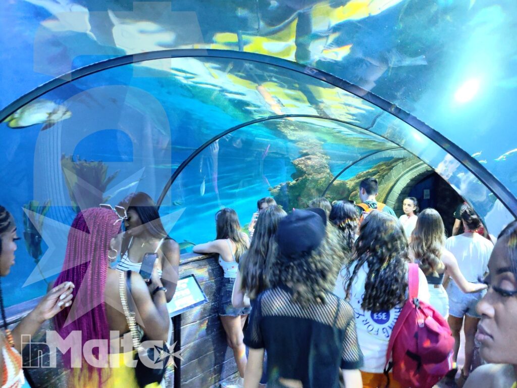 Visita didattica degli studenti nel tunnel dell'acquario Studenti esplorano il tunnel panoramico osservando vasche e pannelli durante una visita didattica al Malta National Aquarium.